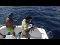 Рыбалка в Доминикане. Ловля марлина. Марлин на 35 кг.