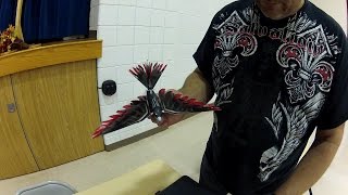 bird flying air rc nice firewing hogs flight test