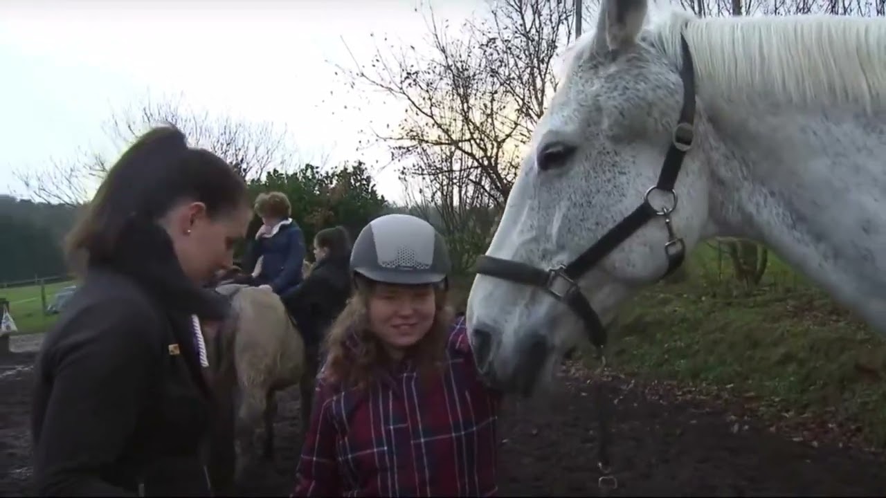 Animal and Human Connection