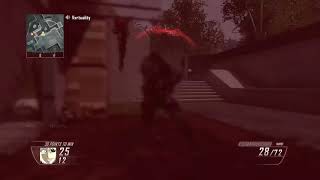 Insane Raid Wallbang Spot ( BO2 1v1)
