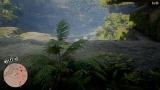 Red Dead Redemption 2- Arthurs wacky island trip