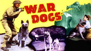 WAR DOGS