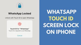 How to use whatsapp screen lock on iPhone 2023