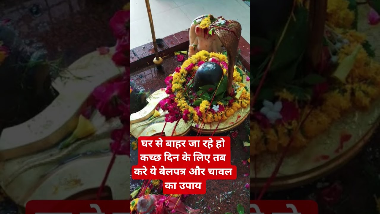 घर से बाहर जा रहे हो कुछ दिनों के लिए तब करे बेलपत्र और चावल का ये उपाय🙏#bholenath#pradeepmishra