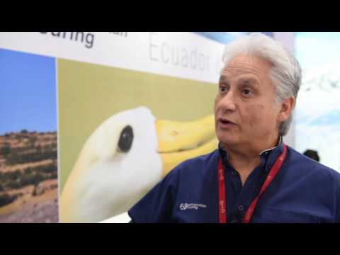 WTM 2016: Francisco Dousdebes, Galapagos product manager, Metropolitan Touring