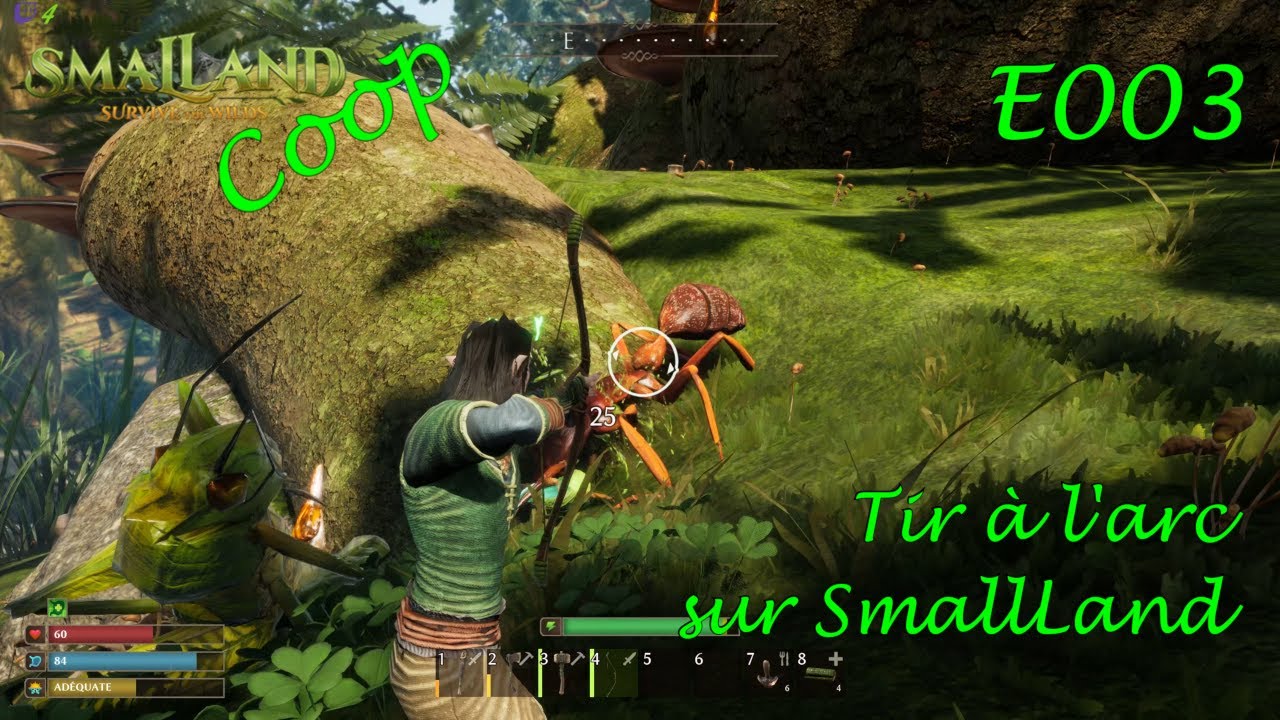 Tir à l'arc | SmalLand (Coop) [FR] E003 