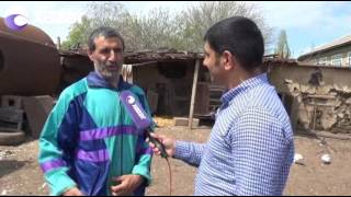 Cəlilabadda 400 Manata Göyərçin Satılır