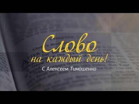 Слово на каждый
