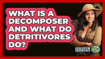 What Is A Decomposer And What Do Detritivores Do? - Ecosystem Essentials