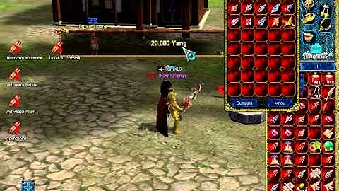 Metin2 NeWStyle Hamachi Original Video 2013 (HD)