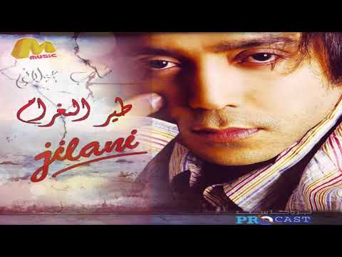 طير الغرام شب جيلاني    