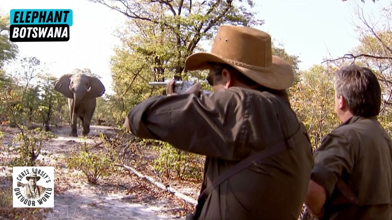 Botswana's Greatest Elephant Hunts - YouTube