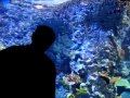 World&#39;s Largest Aquarium @ Marine Life Park
