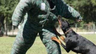 COMPLETE K-9 ACADEMY, Inc.