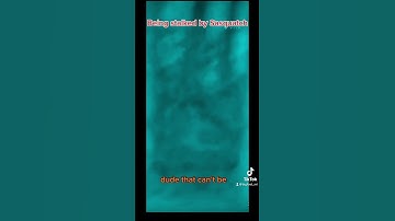 Sasquatch real or fake? #mystery #creature #creepypasta #sasquatch_01 #bigfoot #wolfman