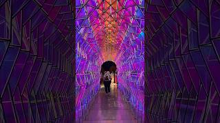 GLASS TUNNEL-for the brave hearts only #sfmoma #bayarea #museum#sfmoma #sfmusicscene #moma #sfvideo