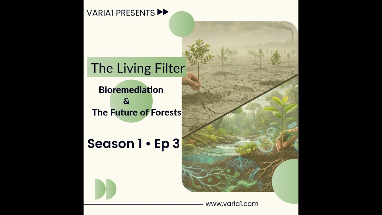 Super-Forests vs. Pollution: Why Planting Trees Fails | Bioremediation Explained