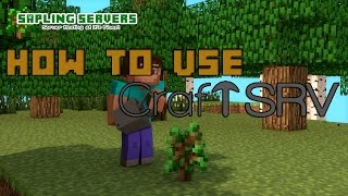 How to set up your new CraftSRV Minecraft server
