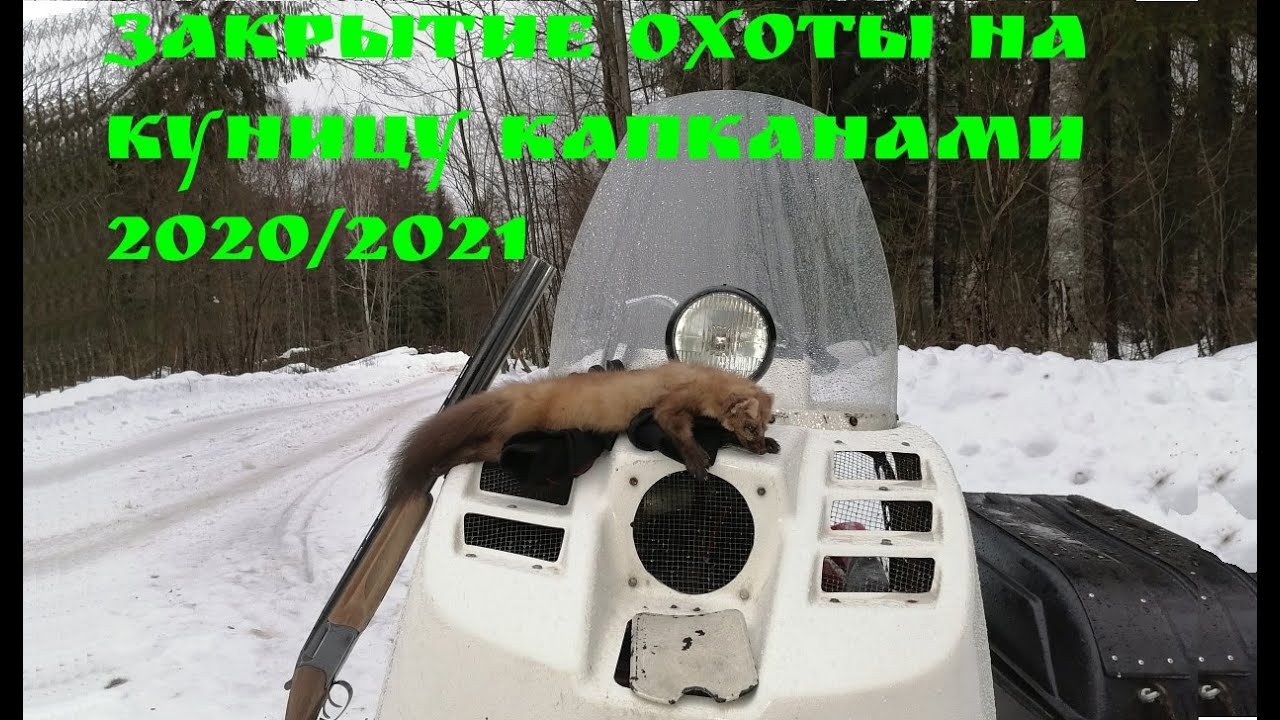 Закрытие сезона охоты на пушнину 2020/2021. Удачно
