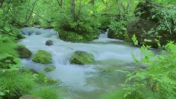 Các nguồn nước