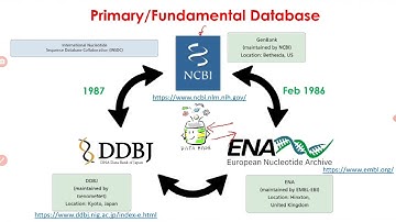 GenBank Tutorial | How To Use GenBank Format