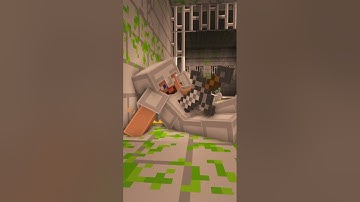Minecraft but Herobrine Guards the End Portal #shorts #minecraft