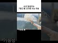 AI가 알려줌: 7일간 물 228톤 쓰는 합리적(?) 주술 3가지