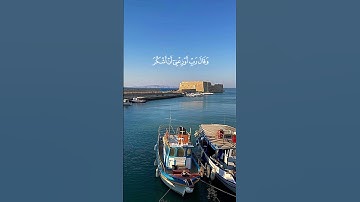 سورة النمل #مصر #اكسبلور #المغرب #تيك_توك #القرآن_الكريم