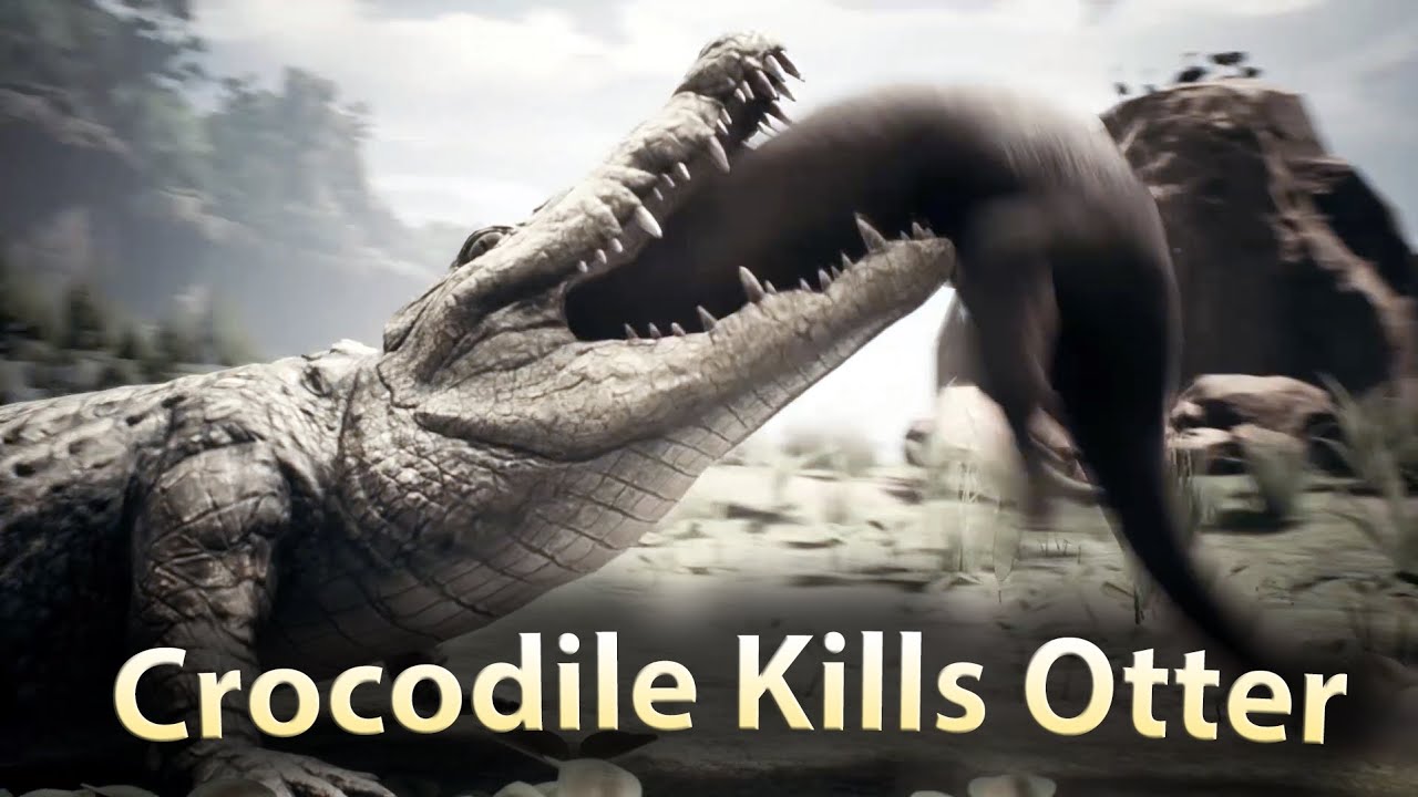 Crocodile Kills Otter Ancestors The Humankind Odyssey - YouTube