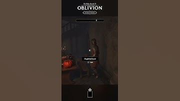 Elder Scrolls IV Oblivion Remastered Guard Stutter