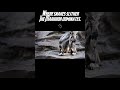 OMG 😱 Black Markhor Eats Snake 🐍|Rare Wildlife Moment Caught on Camera|World’s Rarest Clip|Rare Scen