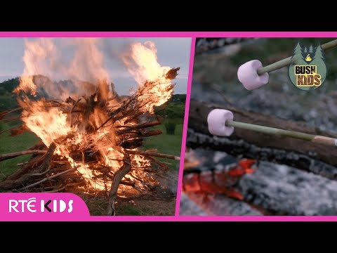 Toasting Marshmallows on a HUGE Bonfire! 🔥😋 | Bush Kids | @RTÉKIDS