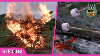 Toasting Marshmallows on a HUGE Bonfire! 🔥😋 | Bush Kids | @RTÉKIDS
