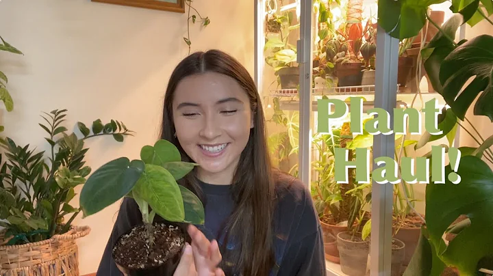 All the New Plants I Bought!