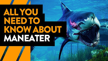 All you need to know about Maneater | Preview