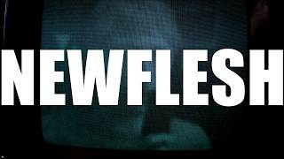 NEWFLESH - dev diary 1