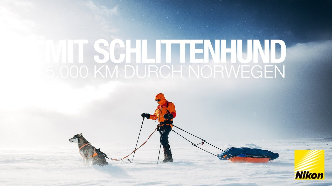 Norwegens Wildnis hautnah - Teil 2: Jan Vincent Kleine unterwegs mit June & Trojka