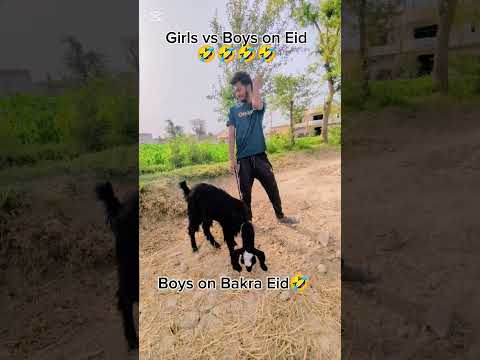 Girls vs Boys