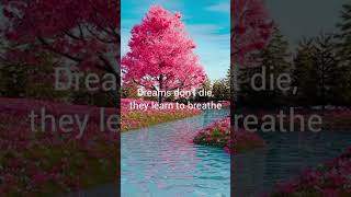 Dreams Dont Die June And August