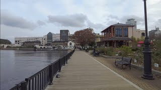 Japan 4k POV Day Trip ASMR - Train ride to Yokosuka and back.