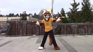 Fps - Matsuri Fursuit Dance