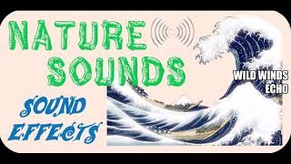 Nature Sounds | Wild Winds Echo