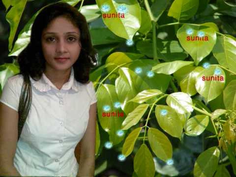 akash ma lekhe nepali song of Anil Singh