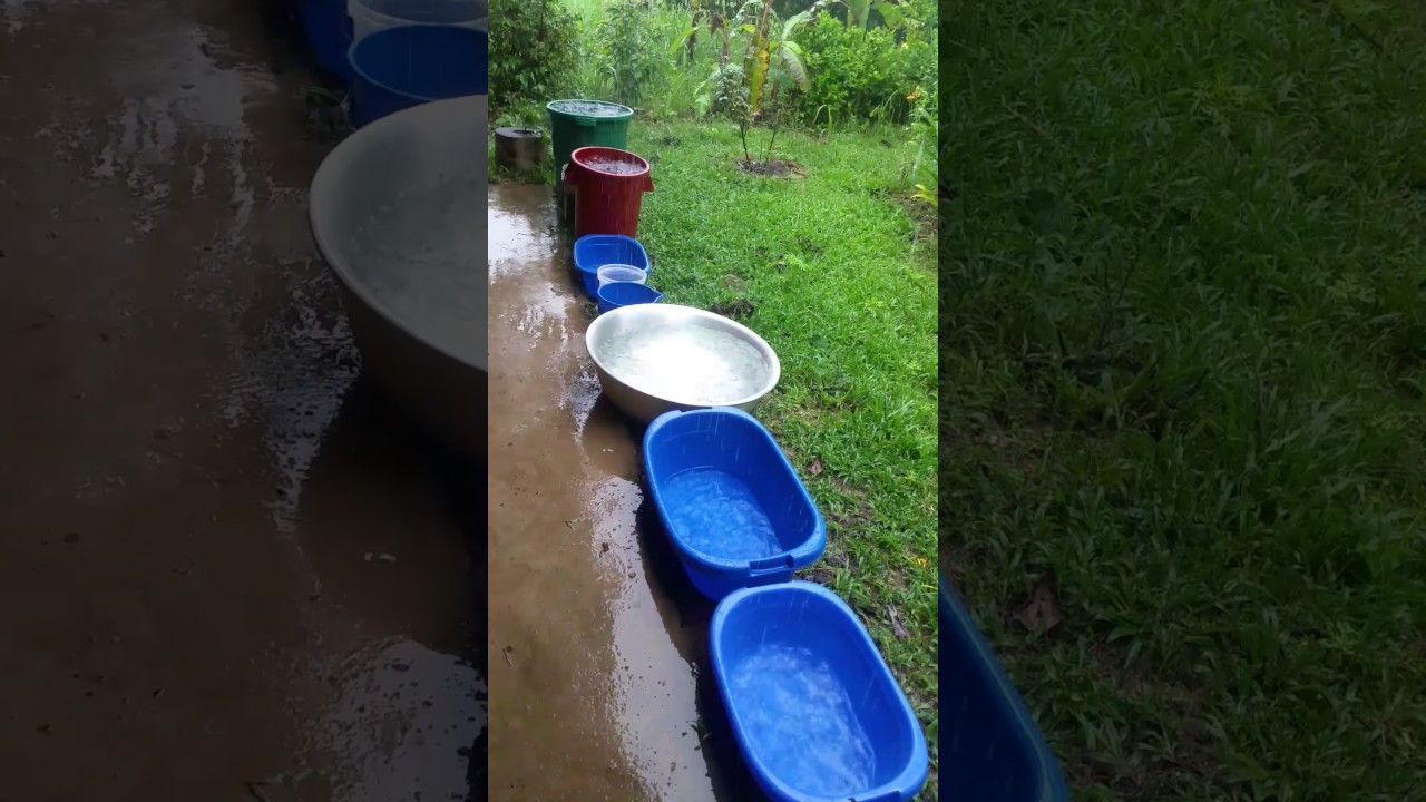 Collecting rain water for laundry. YouTube