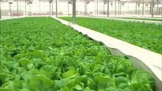 America's Dairyland: Dairy Evolution | Discover Wisconsin