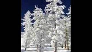 Tim Hughes Dancing Generation