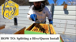 HOW TO: Splitting a Hive/Queen Install