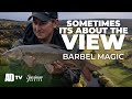 Phil Spinks Specimen Series - River Severn Barbel
