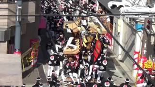 20150920 00068 本宮午後曳行 小門 藤井町 岸和田だんじり祭