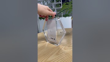 Lively Memories - Motion Video Frame  sales@ssa-digital.com